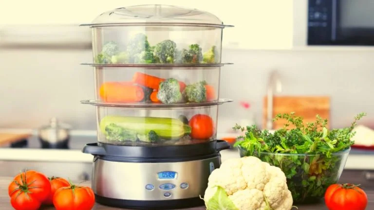 Steam Cooker কেনার আগে এই বিষয়গুলি জেনে রাখুন সবচেয়ে ভালো স্টিম কুকার গুলি দেখে নিন