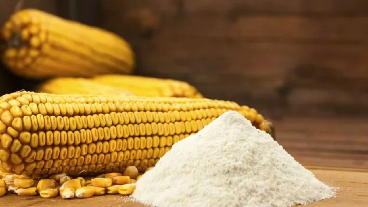 অনলাইনে সবচেয়ে ভালো কর্নফ্লাওয়ার (ভুট্টার আটা /Corn Flour/Maize Flour) কিনে নিন| Best corn flour online
