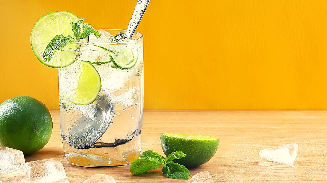 অনলাইনেই কিনে নিন লেবুর রস| Best Lemon Juice and Lemon Squeezer
